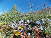 REG.RU на вершине Эльбруса