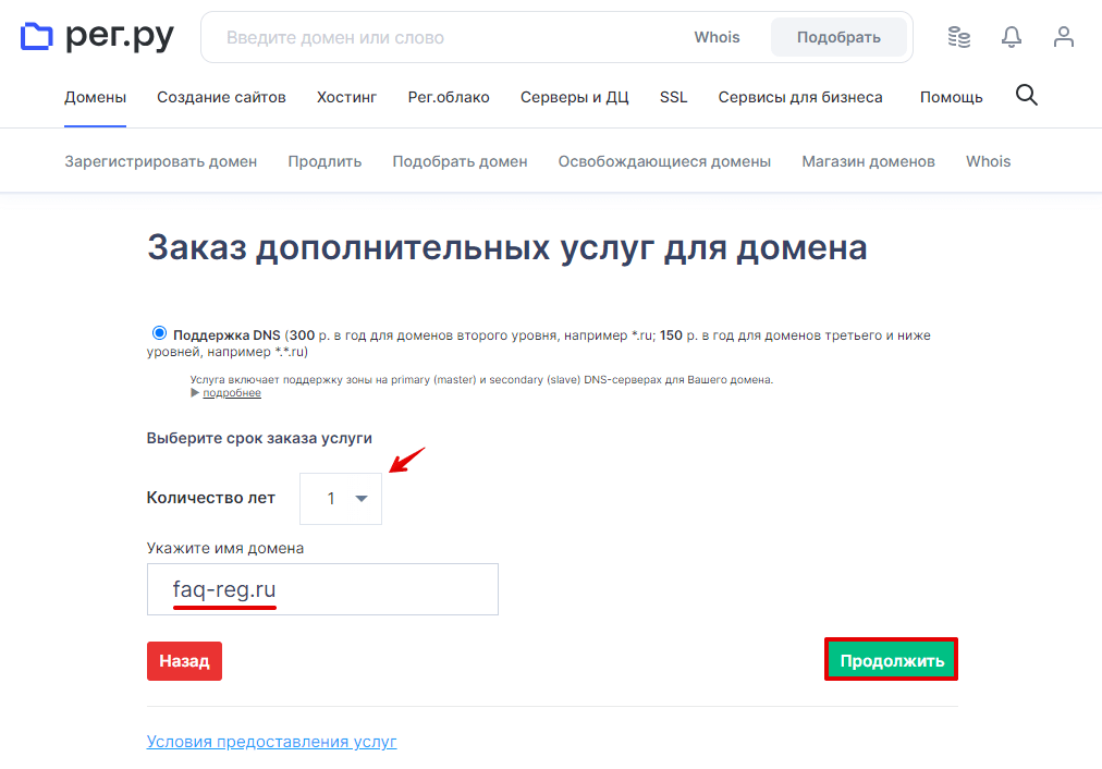 Поддержка DNS 1