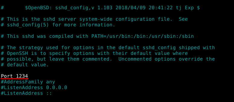 SSH на Debian 2