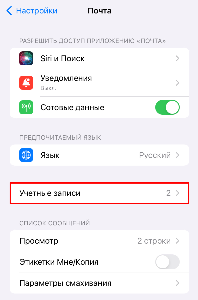 Учетные записи в настройках iOS