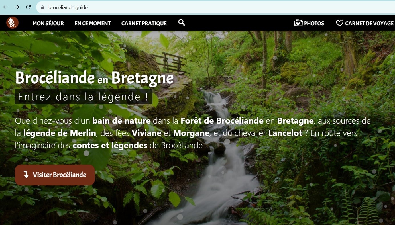 Сайт, повященный лесу в Бретани. Попутного ветра: 6 доменных зон для туристических агентств и путешественников