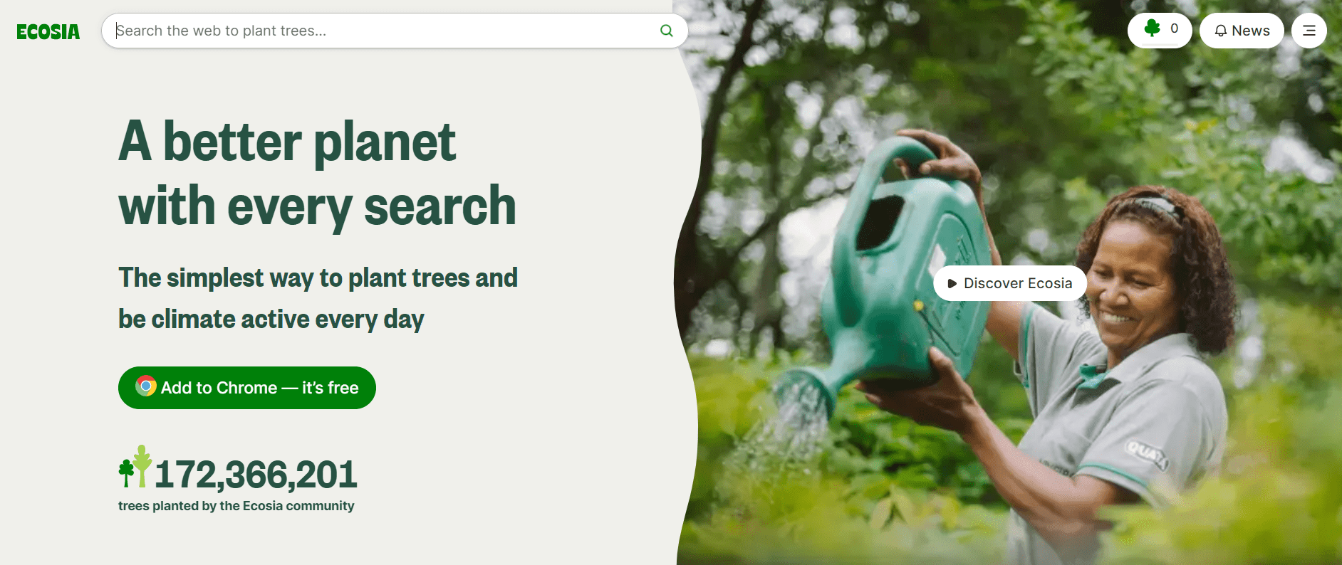 Каждый запрос в экологичном поисковике равен одному посаженному дереву